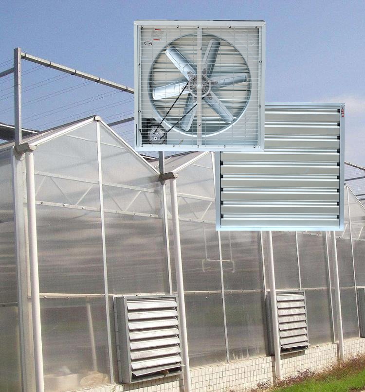 Square exhaust fans installed for greenhouse ventilation
