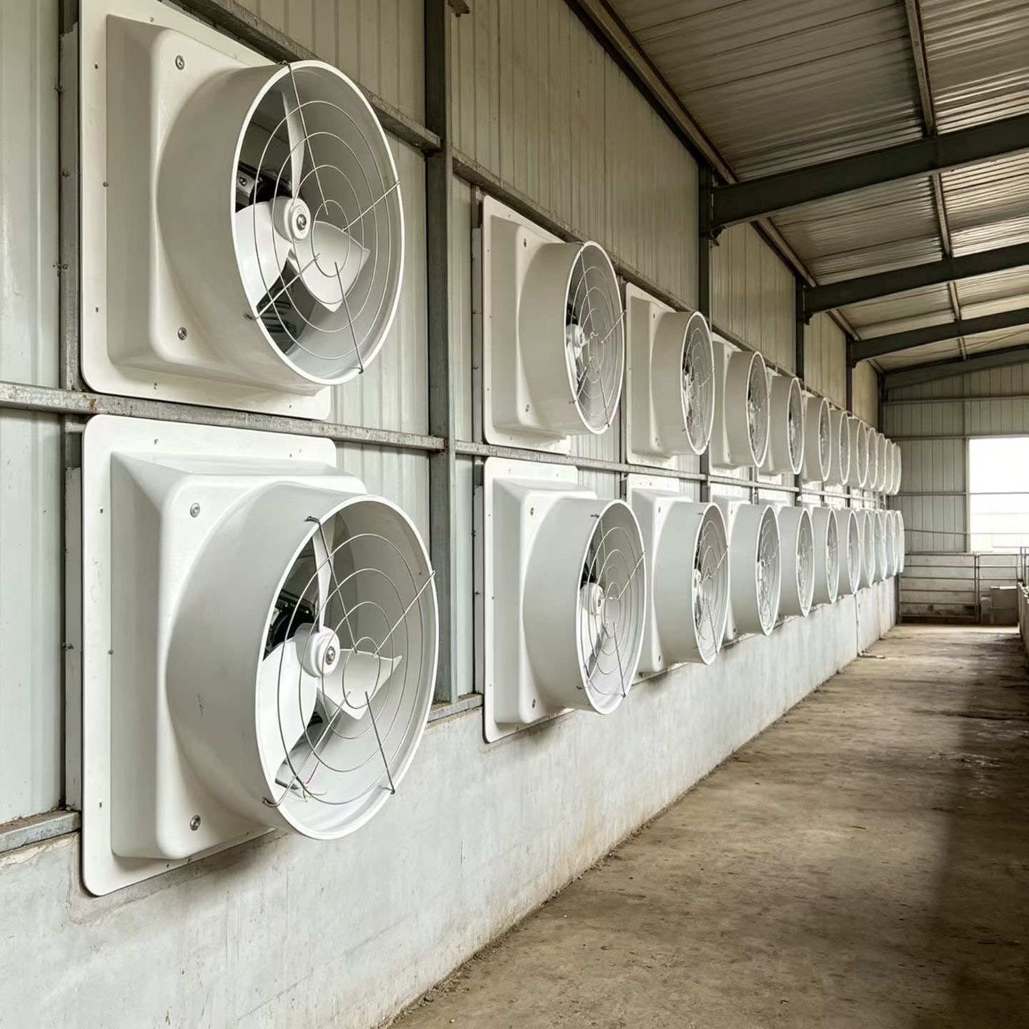 FRP exhaust fans mounted along a building wall
